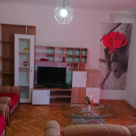 Apartments Vesna Kampor Exterior photo